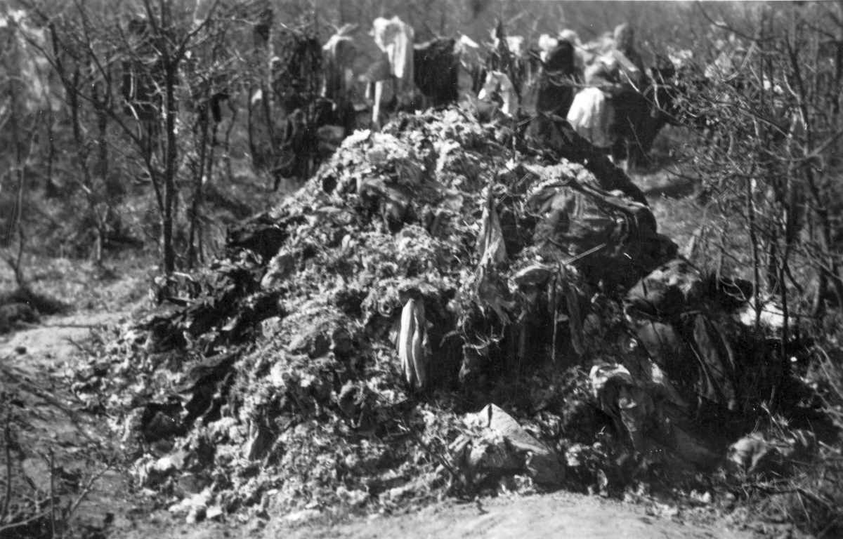 ekshumacja cial pomordowanych 1946 6